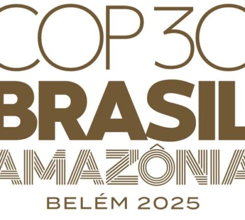 Che cosa è successo alla Cop 30 a Belém