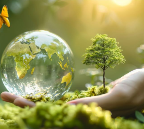 I benefici per il territorio