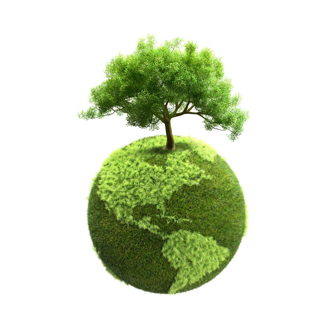 sviluppo sostenibile